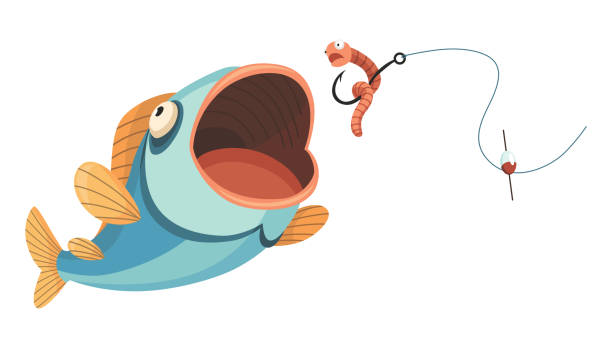 Bonibaits Happy Slim: Why This Lure Belongs in Every Angler’s Tackle Box