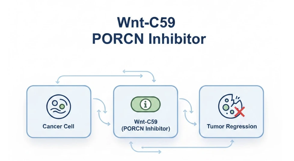 Wnt-C59 PORCN inhibitor